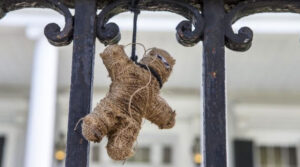 Fascinados por la magia