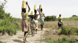 Ecología integral: Para sanar de la explotación irracional y del divinizar la creación