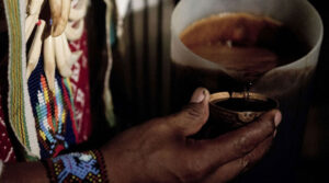 Ayahuasca: la droga que chamanes y traficantes promueven como medicina para el alma