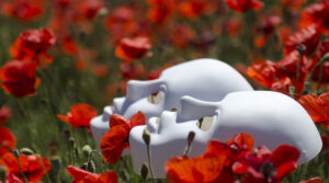 La perversa estrategia de las pseudoterapias New Age