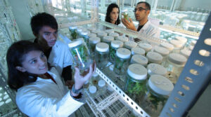 No hay verdad científica para afirmar que la Macrobiótica sana