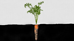 Un libro revela la verdad de una secta de macrobiótica en Italia