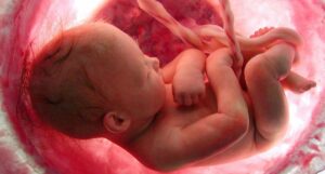 Ex satanista revela brutales rituales satánicos de canibalismo en clínicas de aborto